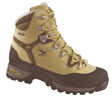 SALEWA Gayal GTX W's kaufen in Online Shop Schneeschuhe & Boots - Sportler