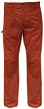 SALEWA Hubble GD Pant