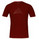 SALEWA Meisules Shirt