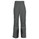 SALEWA Resistant GTX Pant W's