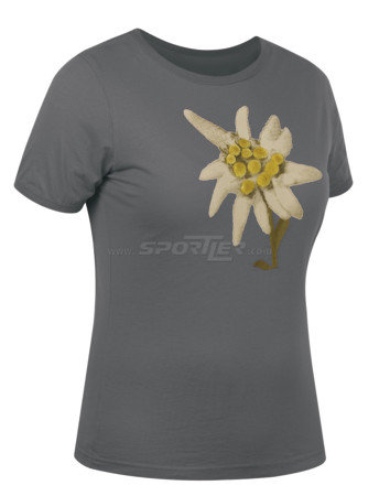Salewa Roseg Co Tee W's kaufen in Online Shop Bekleidung Trekking / Wandern  - Sportler