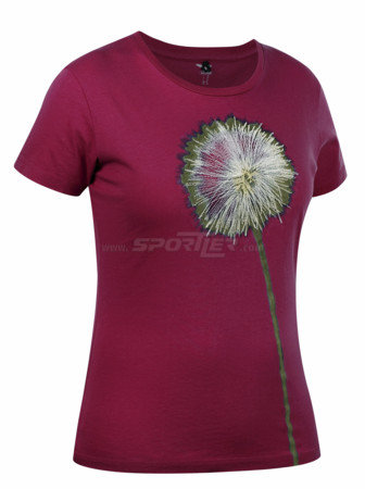 Salewa Susi Co S/s Tee W's acquista in Online Shop T-Shirts - Sportler