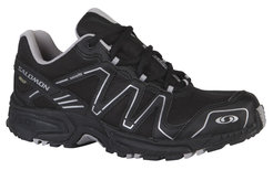 Salomon Caliber GTX