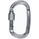 Alpinismo / Montagna > Ferramenta & Co. >  Singing Rock Oval Screw