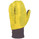 Ski Trab Race Alp Cover