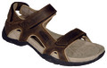 Freizeit / Sportswear > Sandalen / Flipflop >  Teva Fossil Canyon