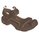TEVA Toachi