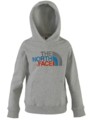 Bekleidung > Pullover >  The North Face Drew Peak Hoodie Jr