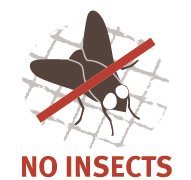 no insects
