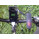 Wahoo iPhone Dynamo Charger 