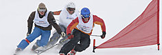 Freeheel Italian Masters e Testival