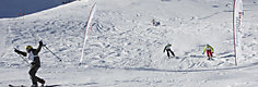 Silke Hinterwaldner e Martin Volgger sono campioni italiani 2009 di Freeheel