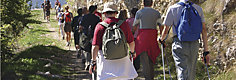 Nuova guida: Greenways nel Veneto