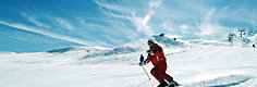 Preparazione sci e snowboard