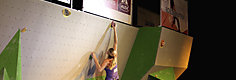 AVS Boulder Festival