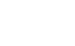 RAID LIGHT