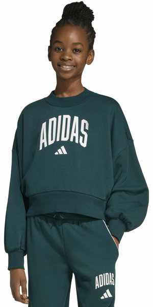 adidas  Seasonals Essentials Collegiate Graphics Jr - Sweatshirt - Mädchen, Gr.