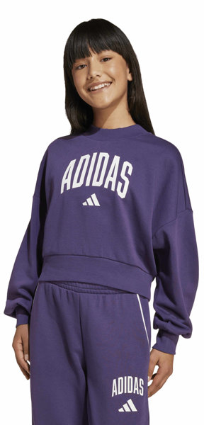 adidas  Seasonals Essentials Collegiate Graphics Jr - Sweatshirt - Mädchen, Gr.