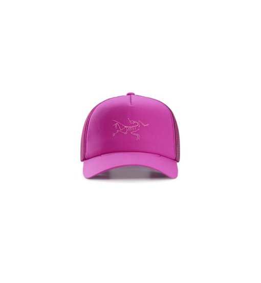 Arc Teryx Bird Trucker Curved - cappellino