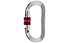 Camp Oval XL Lock - moschettone, Silver/Red