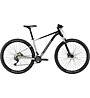 Cannondale Trail SL 4 - MTB Cross Country - uomo, Grey