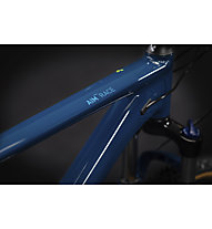 mountainbike sportler biciclette