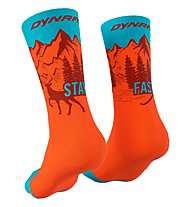 Dynafit Stay Fast - kurze Socken - Herren, Orange/Light Blue