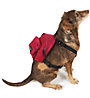 Eastpak Dog Pak'r - Rucksack, Red