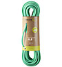 Edelrid Eagle Lite Eco Dry 9,5mm - corda singola, Green