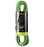 Edelrid Kestrel Pro Dry 8,5 mm - mezza corda, Green