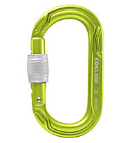 Edelrid Oval Power 2500 Screw II - Karabiner, Green