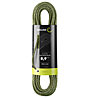 Edelrid Swift Protect Pro Dry 8.9 - Einfachseil, Green
