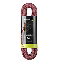 Edelrid Swift Protect Pro Dry 8.9 - Einfachseil, Red