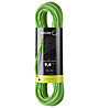 Edelrid Tommy Caldwell Pro Dry DT 9,6 mm - Einfachseil, Green