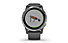 Garmin Vivoactive 4 - GPS Sportuhr, Grey