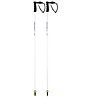 Head Worldcup SL - Skistöcke, White/Black
