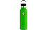 Hydro Flask Standard Mouth 0,621 L - borraccia, Green