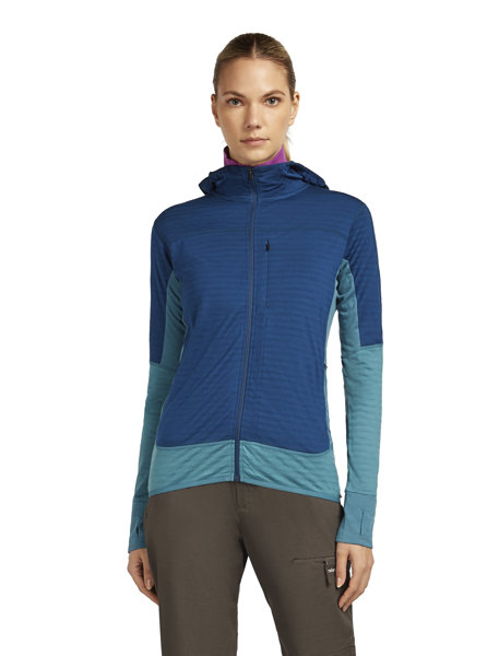 Icebreaker Merino 300 RealFleece™ Descender - Fleecepullover mit Kapuze - Dame