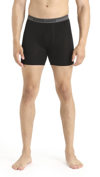 Icebreaker Merino Anatomica - Boxer - Herren, Gr. S
