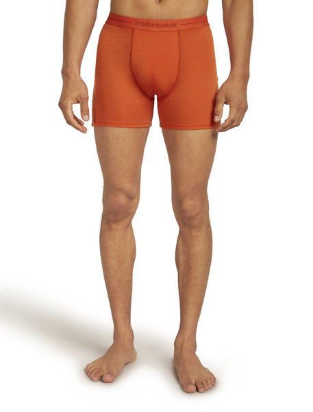 Icebreaker Merino Anatomica - Boxer - Herren, Gr. S