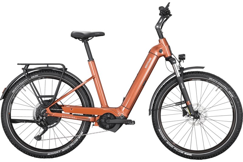 Kettler Quadriga Town&Country P10 500 - E-Trekkingbike, Gr. 51