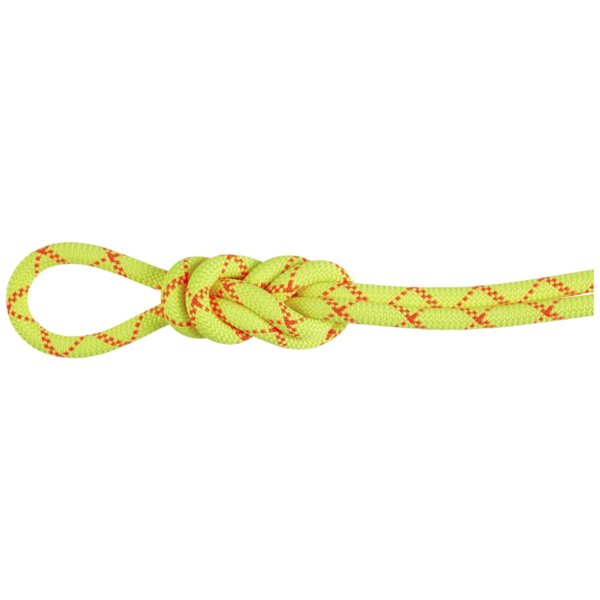 Mammut 9.5 Alpine Core Protect Dry Rope - Einfachseil, Gr. 60 m