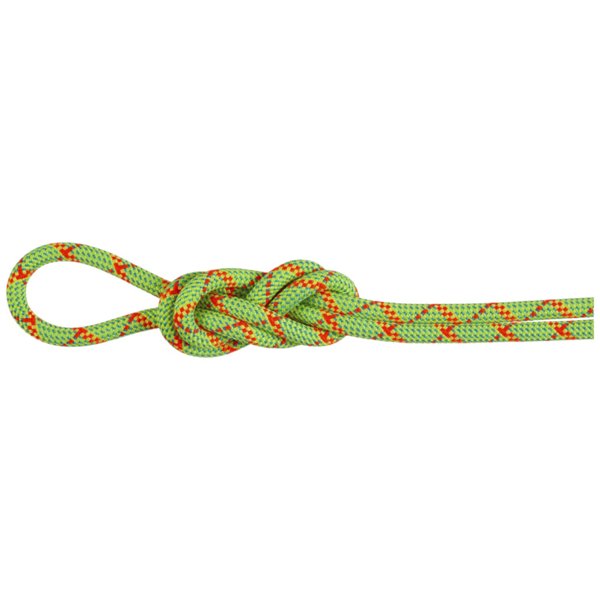 Mammut 8.0 Alpine Core Protect Dry Rope 60m - Zwillings/Halbseil, Gr. 60 m