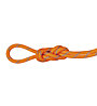 Mammut 8.7 Alpine Sender Dry Rope - corda singola/mezza/gemella, Orange/Light Blue