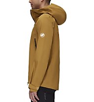Mammut Crater Pro Hs Hooded - giacca in GORE-TEX - uomo, Dark Yellow