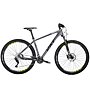 Montana Arrow 2.0 - MTB cross country, Grey
