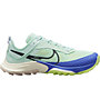 Nike Air Zoom Terra Kiger 8 W - Trailrunningschuh - Damen, Light Green/Blue