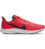 scarpe nike pegasus