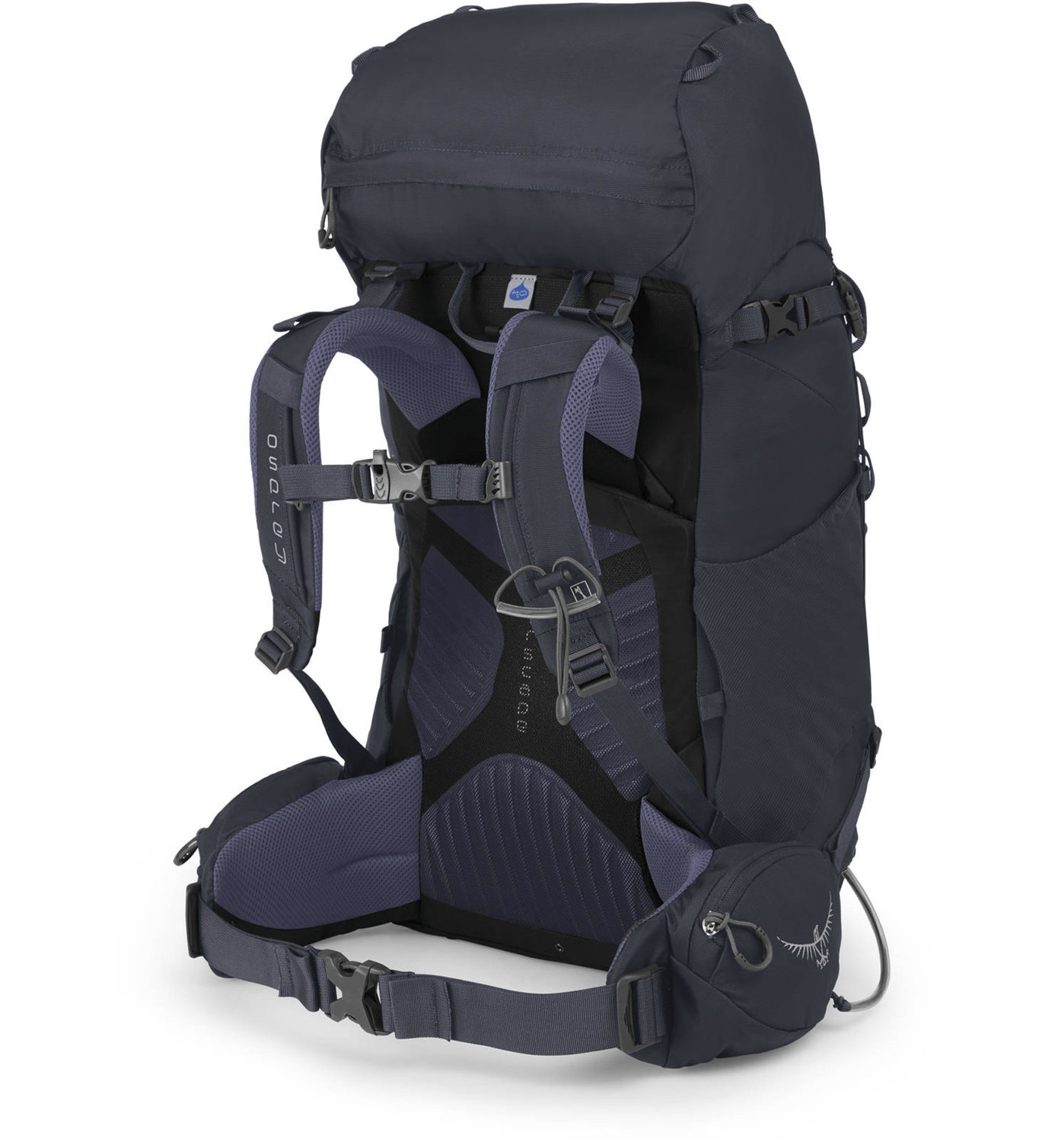 osprey kyte 36 canada