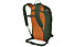 Osprey Soelden 22 - Touren/Freeriderucksack, Dark Green